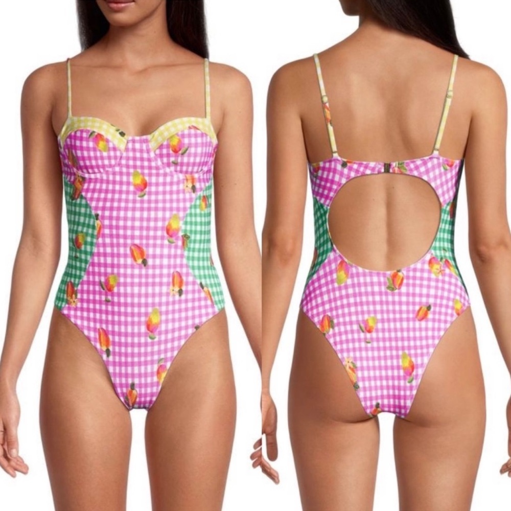 Farm Rio One Piece Swimsuit Mixed Picnic Retro Hourglass Gingham NWT Sm